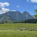 Viata *