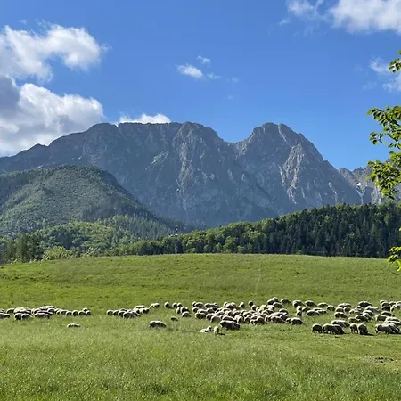 Domek Viata *